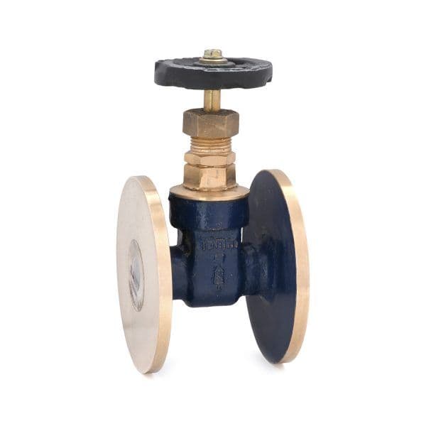 Sant Bronze Gate Valve IS 2