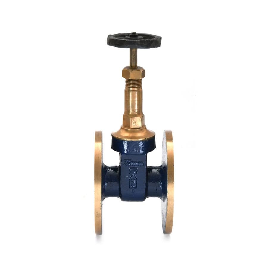 Sant Bronze Gate Valve, Flanged Rising Stem IS 4