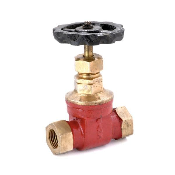 Sant Bronze Gate Valve IS 5