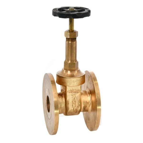 Sant Bronze Gate Valve IS 6A