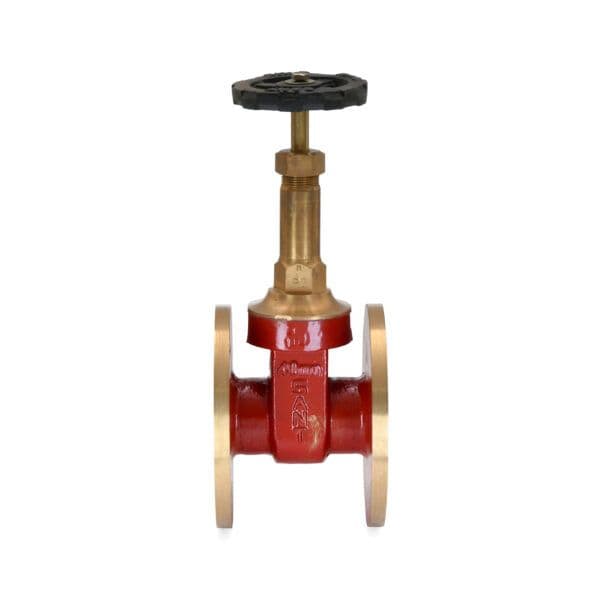 Sant Bronze Gate Valve IS 6